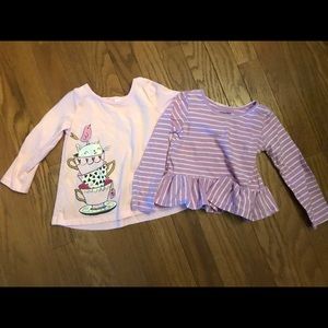 Toddler girl tops-2 piece lot